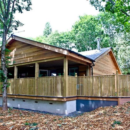 Cedar Lodge, South View Lodges, אקסטר מראה חיצוני תמונה