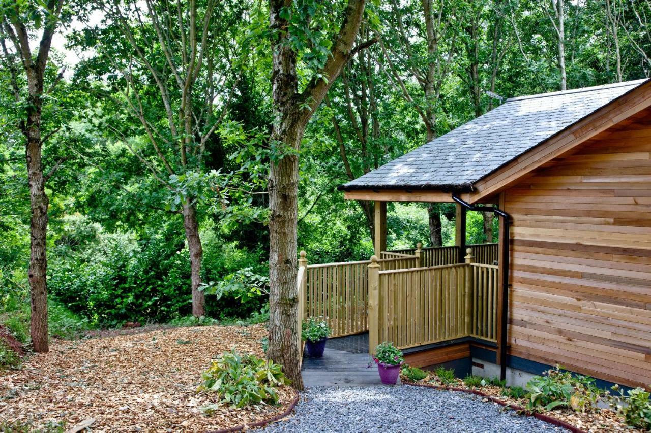 Cedar Lodge, South View Lodges, אקסטר מראה חיצוני תמונה