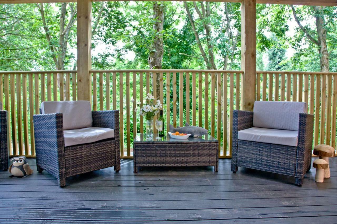 Cedar Lodge, South View Lodges, אקסטר מראה חיצוני תמונה