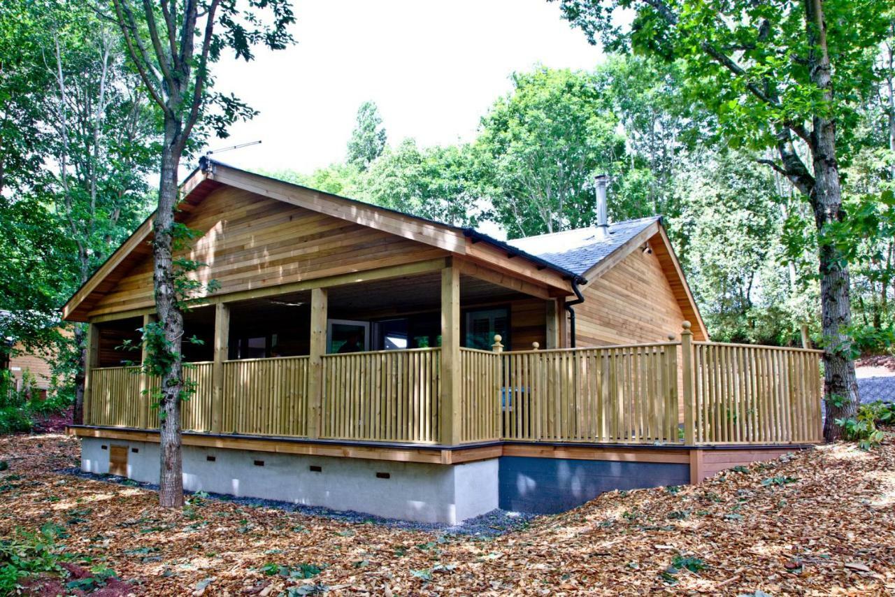 Cedar Lodge, South View Lodges, אקסטר מראה חיצוני תמונה